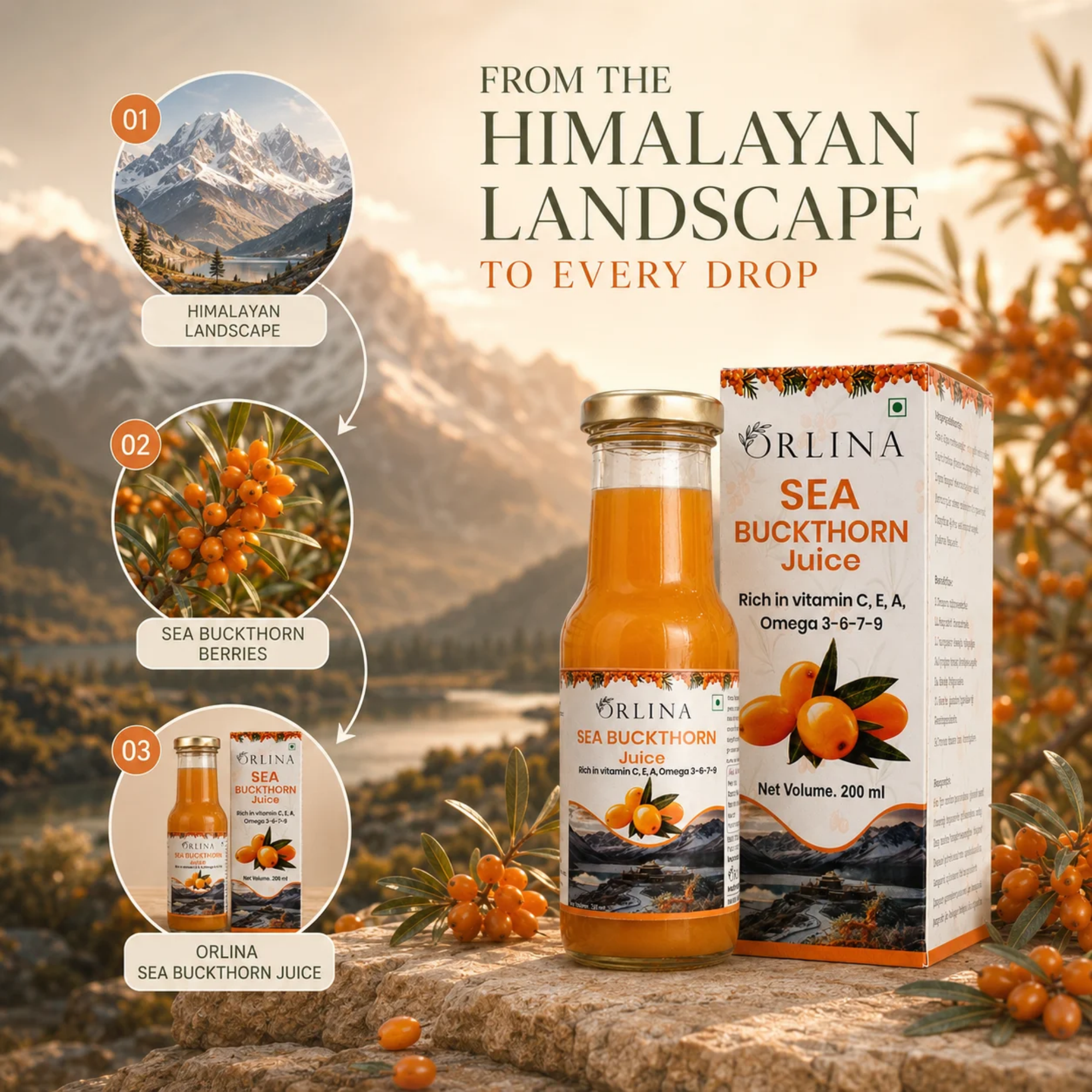 Sea Buckthorn Juice - Orlina